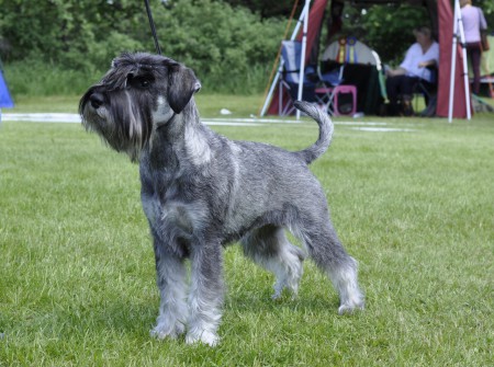 Fina Nellie